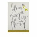 Tarifa 18 x 25 in. Bloom Where You Are Planted Kitchen Towel, 4PK TA3678861